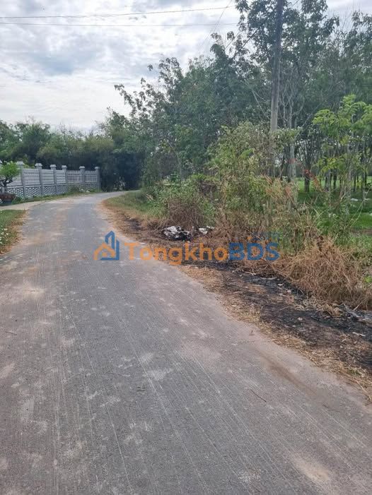 Đất Vườn Củ Chi 1333m² Giá 2.5 Tỷ - Lý Tưởng Làm Nhà Vườn Sinh Thái