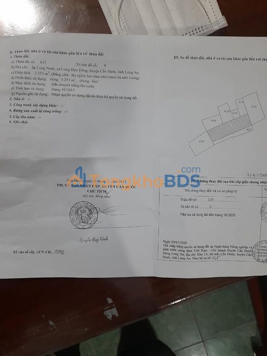 Bán Gấp Đất Lúa Long Hựu Đông, Cần Đước 3200m² - Giá Tốt