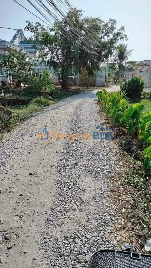 Đất Tân Lân Cần Đước 100m2 420 triệu - Sổ đỏ chính chủ