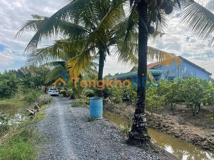 Đất nền Thạnh Hòa Bến Lức 1.872m² 4,3 tỷ - Giá tốt hiếm có