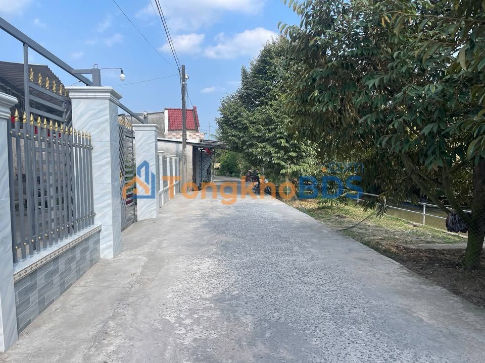 Đất Vườn 5389m² Phong Điền, Cần Thơ - 130 Gốc Sầu Riêng 5 Năm Tuổi