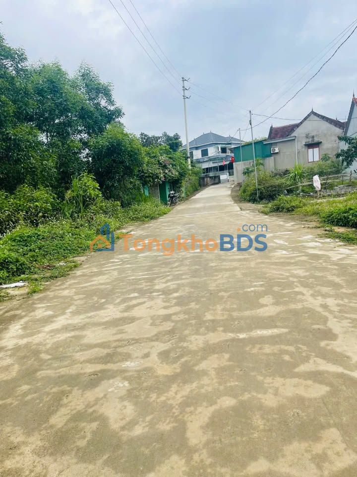 Đất nền Tân Kỳ 272m² giá thỏa thuận - Sổ đỏ chính chủ