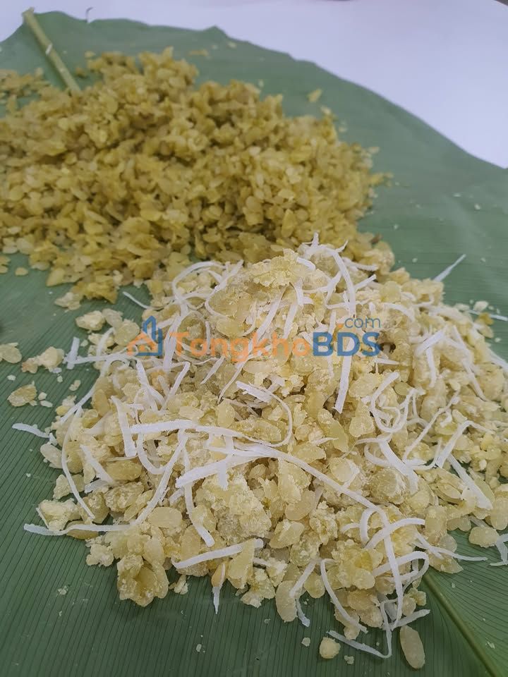 Đất nền Nông Tiến Tuyên Quang 125m² 700 triệu - Sổ đỏ chính chủ