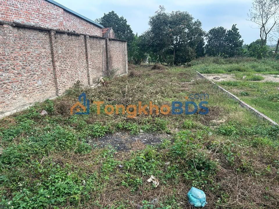 Đất nền Ba Vì 264m² - Sổ đỏ, 9m mặt tiền, gần Hồ Yên Bồ