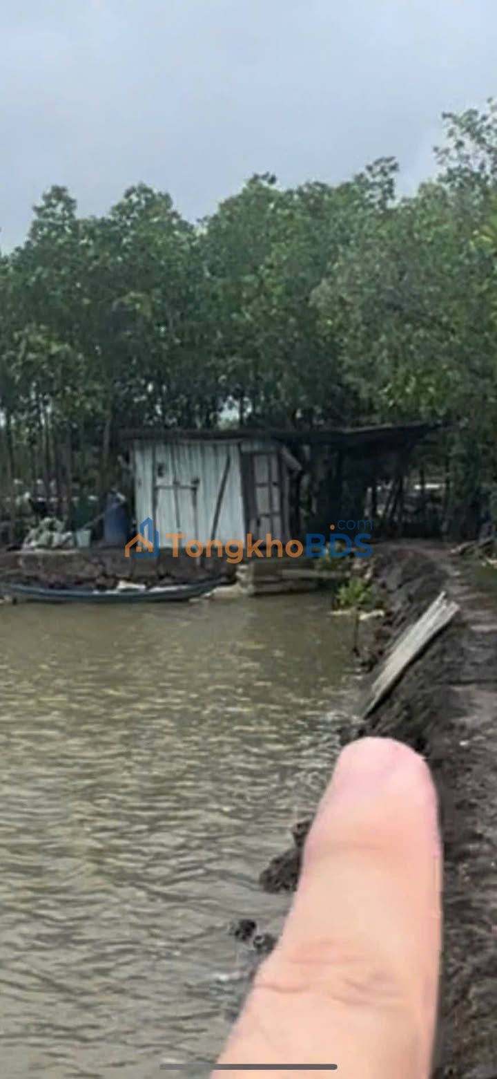 Đất vườn Ninh Hưng Ninh Hòa 2ha 1.3 tỷ - Nghỉ dưỡng yên bình