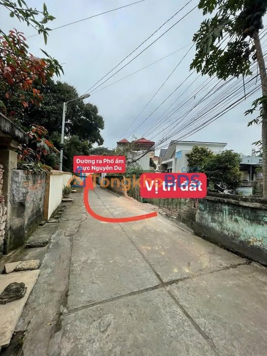 Đất nền Nông Trang 73m² 3 tỷ - Xây dựng tự do