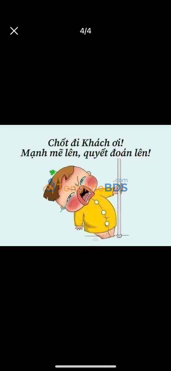 Đất nền Thái Đô Thái Thụy 100m² thỏa thuận - Sổ đỏ chính chủ