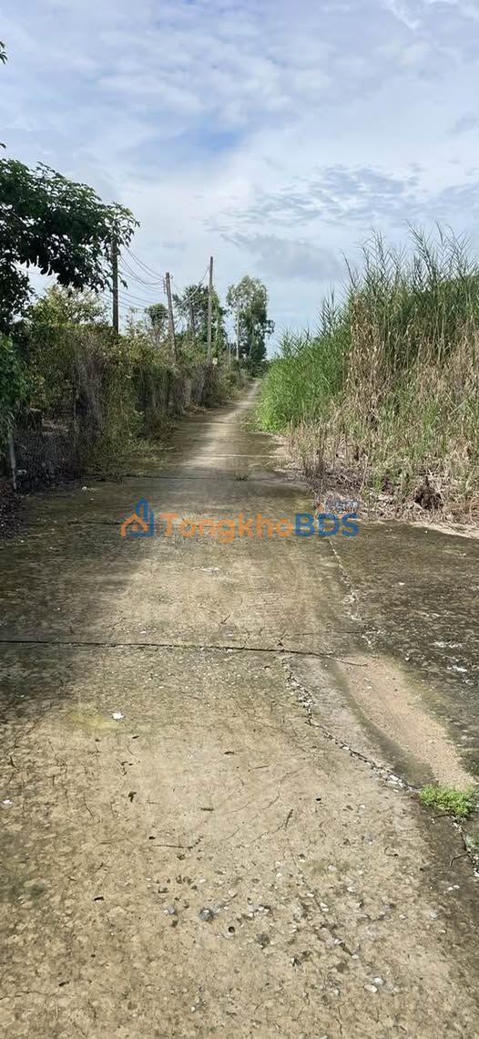 Nhà Cấp 4 Mỹ Hiệp Cao Lãnh - 91m² Giá 950 Triệu