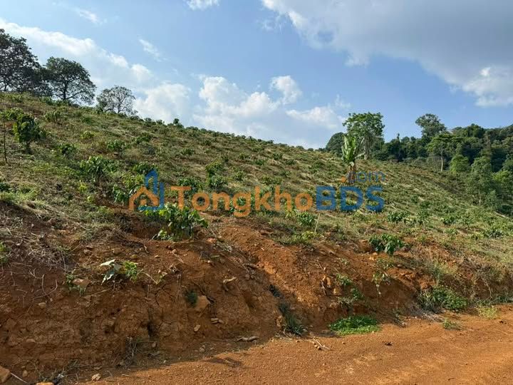 Đất nền Lộc Bắc Bảo Lâm 11.000m² 2.5 tỷ - Sổ đỏ chính chủ