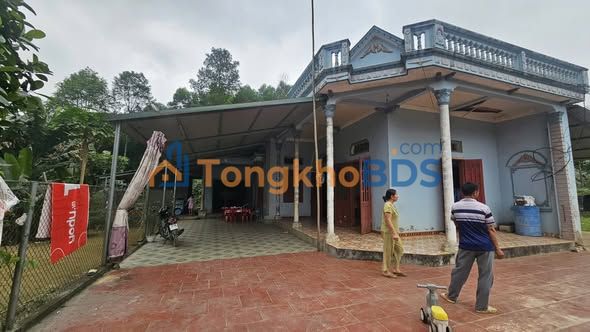 Bán Gấp Trang Trại 7000m² Yên Lập, Phú Thọ - Sổ Đỏ Rõ Ràng