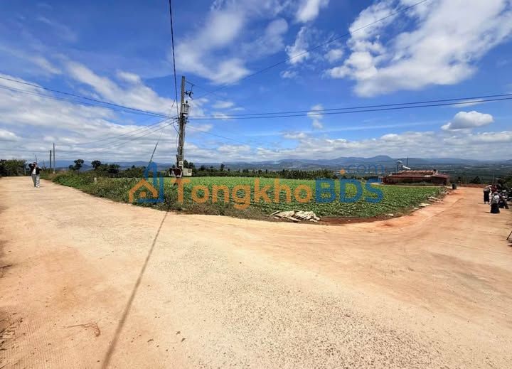 Đất nền Dốc 800 Tân Văn Lâm Hà 133m² 470 triệu - Sổ hồng