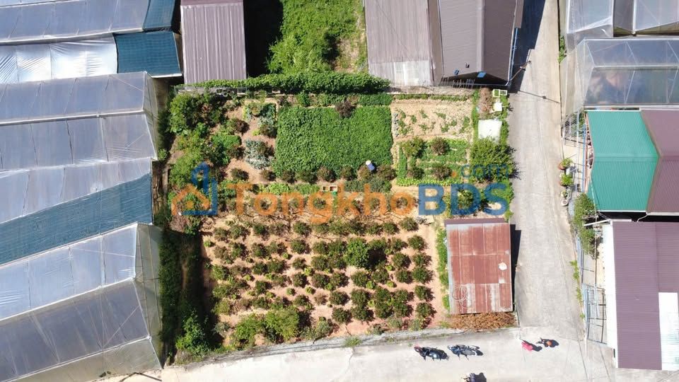 Land Trần Thái Tông Đà Lạt 83m2 1.4 tỷ - Pháp lý rõ ràng