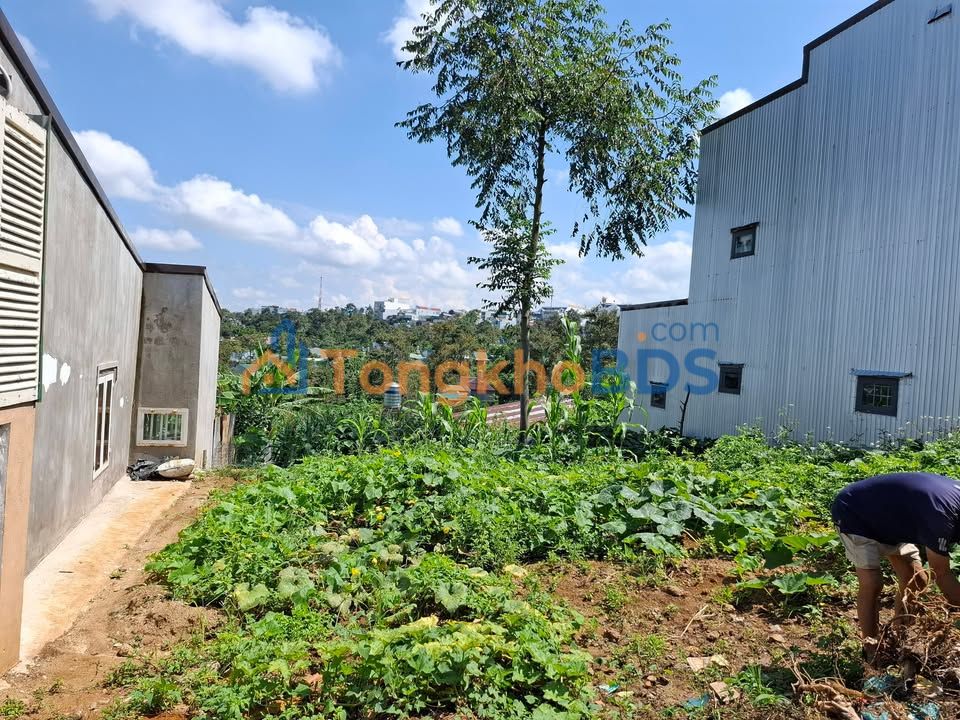 Đất nền Trần Phú Bảo Lộc 350m² 2.45 tỷ - Sổ đỏ chính chủ