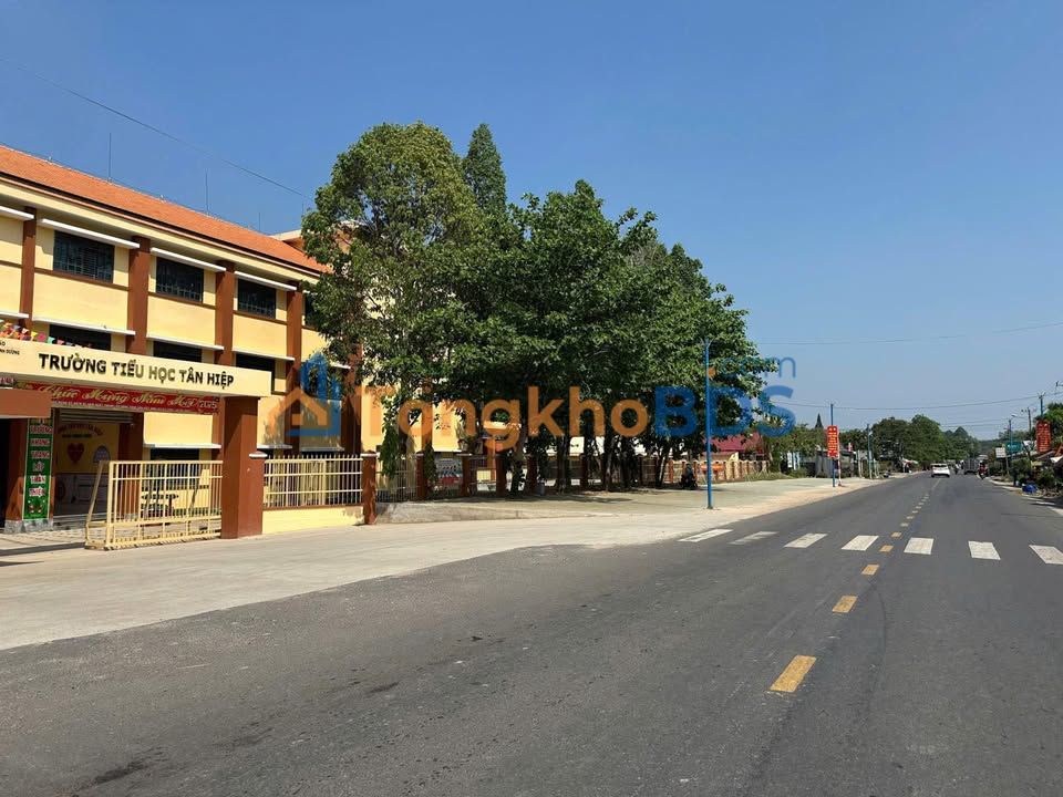 Đất Nền Góc 2 Mặt Tiền 360m² Tân Hiệp, Phú Giáo - Sổ Hồng Sẵn Sàng