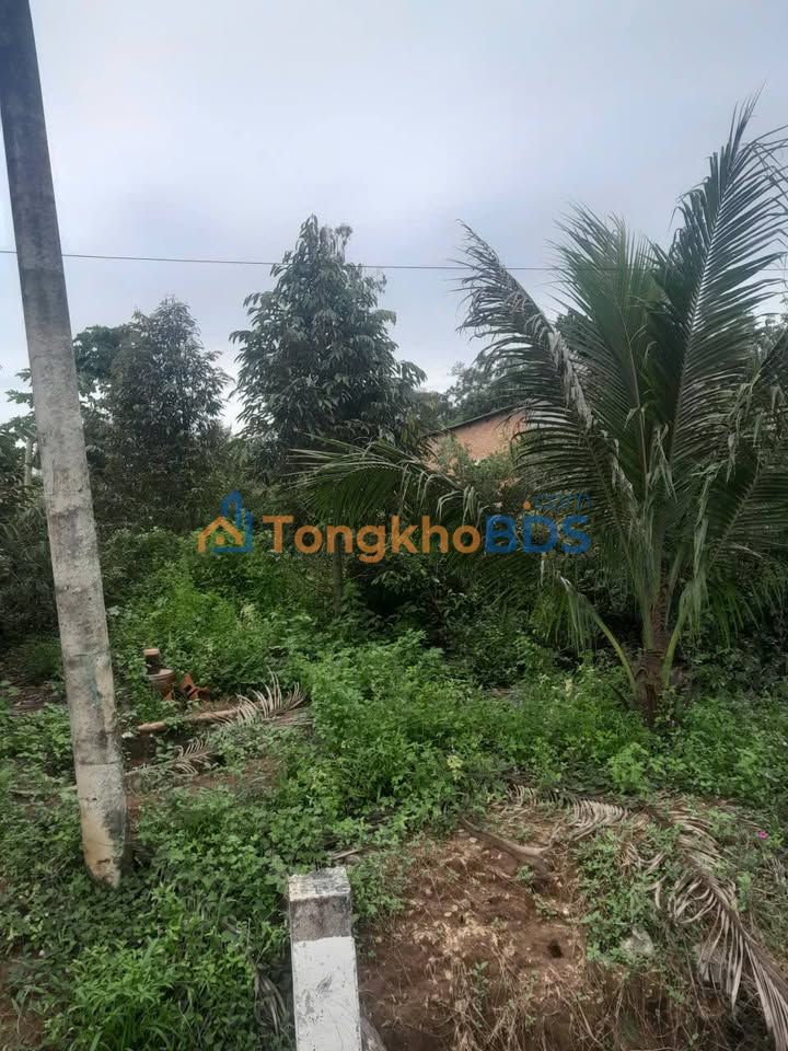 Đất Nền 500m² Đối Diện KCN Minh Hưng - Sổ Sẵn Giá 400 Triệu