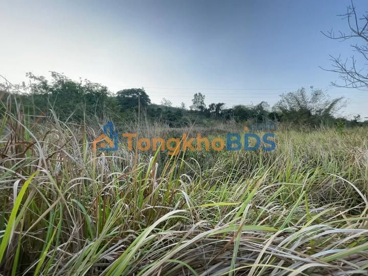 Bán gấp 12.000m² đất nông nghiệp sổ đỏ tại Lâm Hà, Lâm Đồng - Giá 9.6 tỷ