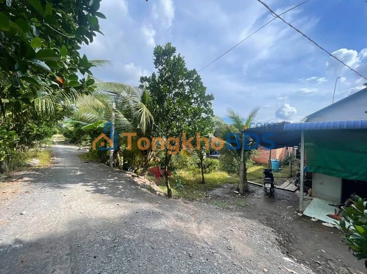 Đất vườn Thạnh Hòa Bến Lức 2.800m² 4,95 tỷ - Sổ hồng rõ ràng