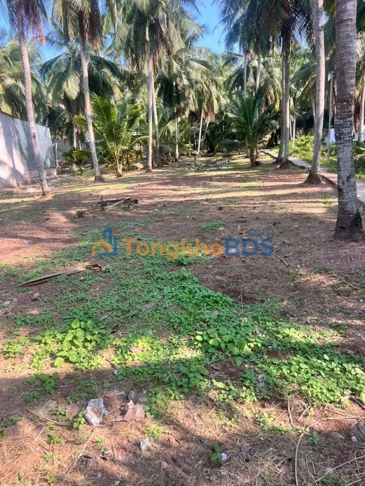 Đất nền Lộc Thuận 680m² 544 triệu - Sổ đỏ chính chủ