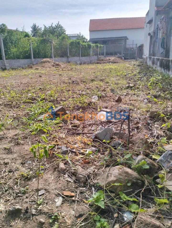 Đất nền Tri Hải Ninh Hải 241m² 1.15 tỷ - Sổ đỏ chính chủ