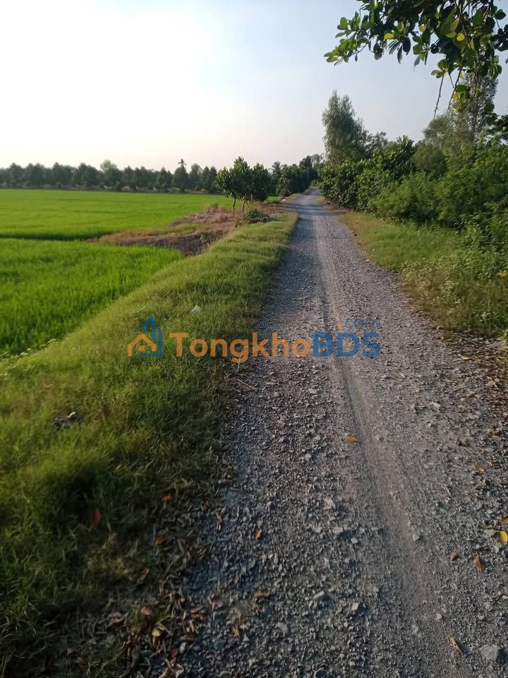 Đất nền Phú Điền 17.000m² giá 6.29 tỷ - Sổ đỏ chính chủ