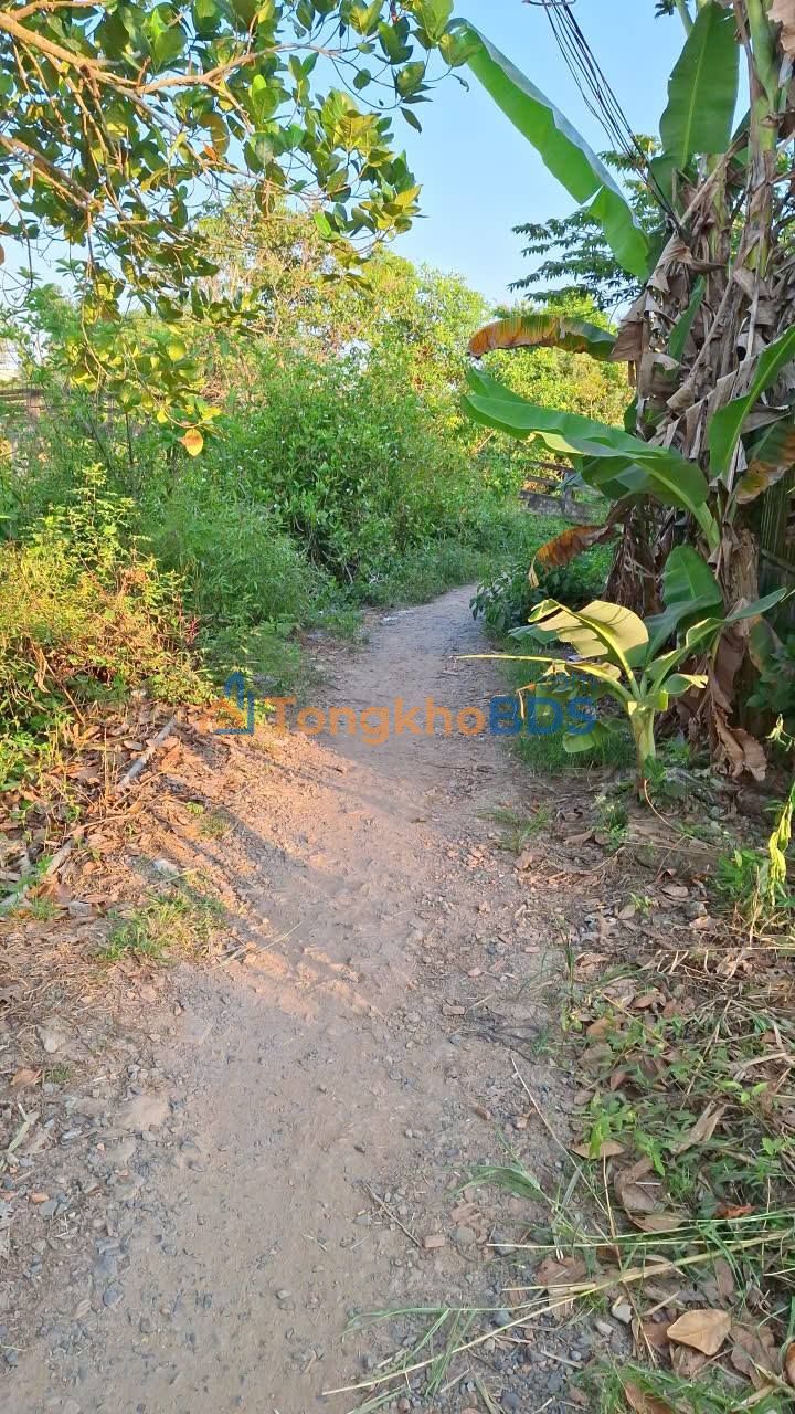 Đất thị trấn Bình Phú 271m² 600 triệu - Sổ đỏ chính chủ