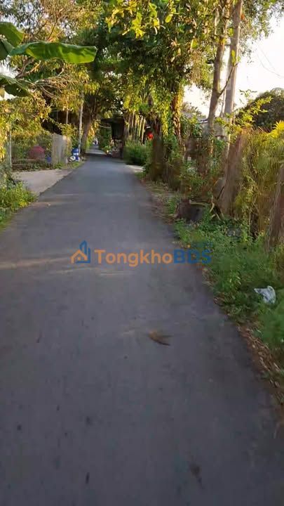 Đất Nền Mặt Tiền Đường 3m - Cai Lậy, Tiền Giang - 344m² - Giá Đầu Tư 600 Triệu