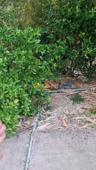 Bán Đất Nền 300m² Thị xã Cai Lậy - View Kênh Thoáng Đãng - Sổ Hồng Sẵn Sàng