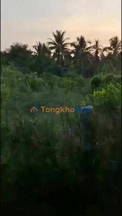 Đất nền Phường 5 TX Cai Lậy 120m² 0,7 tỷ - Đường ô tô