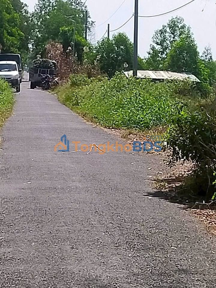 Đất Mặt Tiền Đường Nhựa 960m² - Tân Phước, Tiền Giang - Giá Đầu Tư 490 Triệu