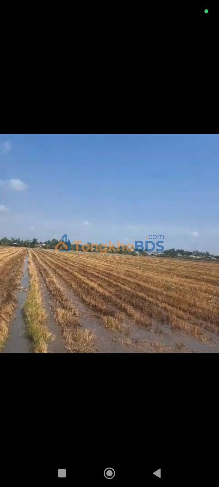 Đất vườn Tân Phú Trung 12 công – Đầu tư dài hạn