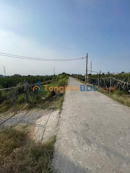 Đất Nền Sổ Hồng 450 Triệu/Nền - Châu Thành, Long An