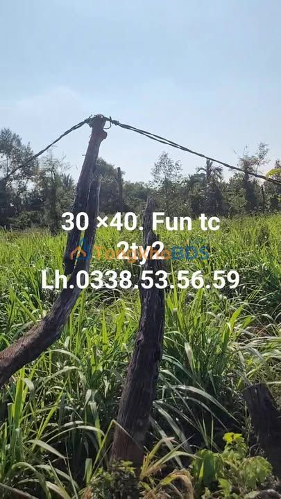 Đất nền Ia Pal 1200m² giá 2.2 tỷ - Tiềm năng tăng giá