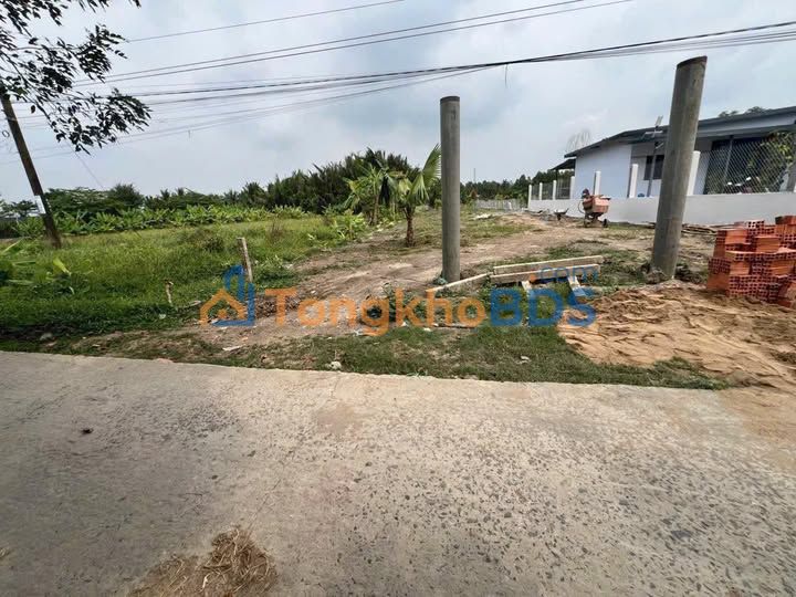 Đất nền Tân Bình Tân Trụ 1000m²/2 tỷ - Đường ô tô vào tận nơi