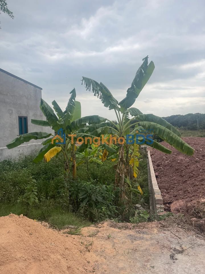 Đất nền Phường Bến Tắm 93m² 1.1 tỷ - Sổ đỏ chính chủ