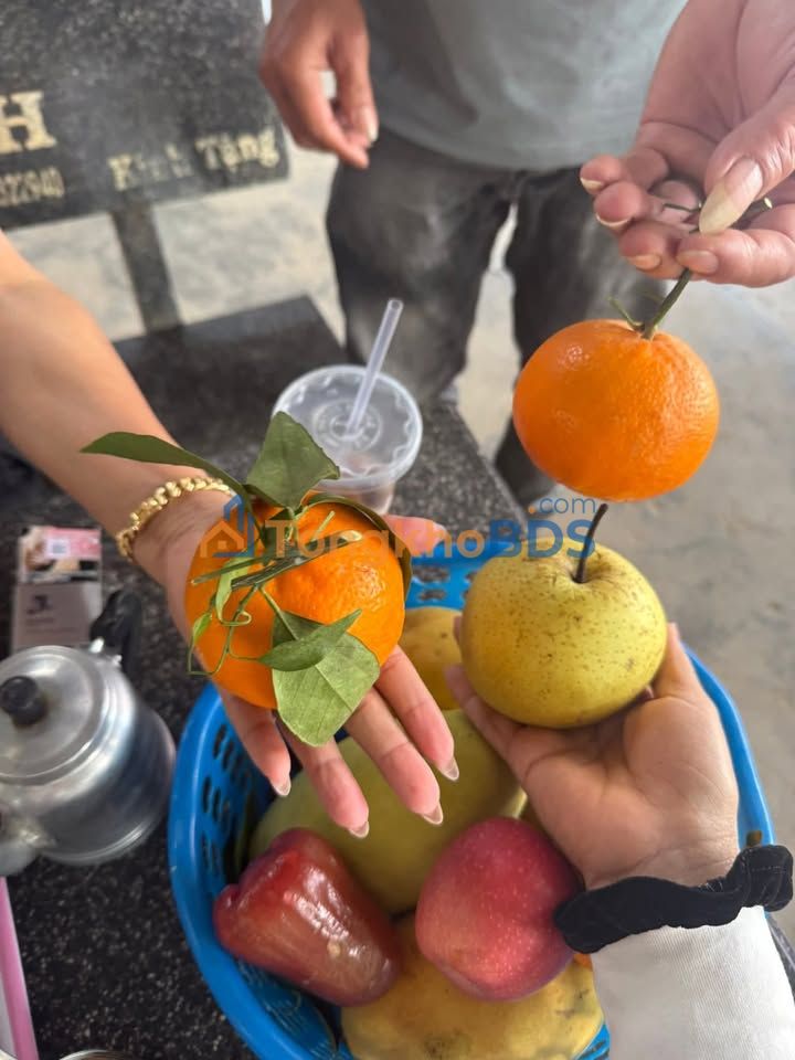 Bán Gấp Đất Vàng Ea Kar 330m² - Sổ Đỏ Sẵn Sàng, Giá Đầu Tư