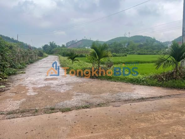 Bán Đất Tân Lạc Hoà Bình 2215m² - View Đồng, Bám Sổ Hồng