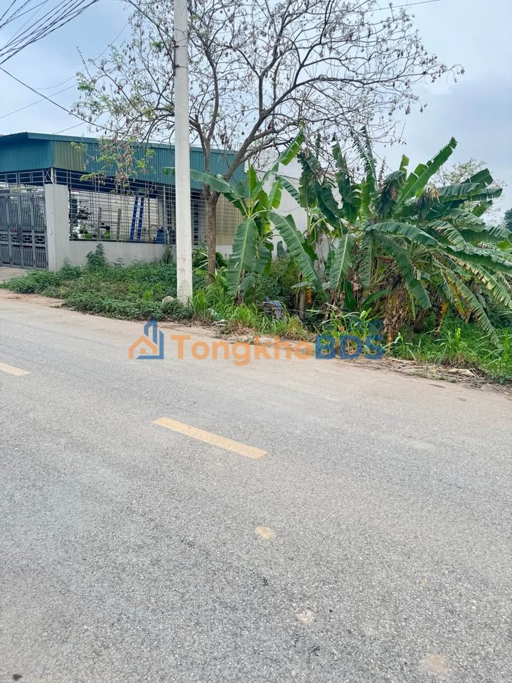 Đất nền Liên Châu Yên Lạc 110m² 2 tỷ - Đường to ô tô