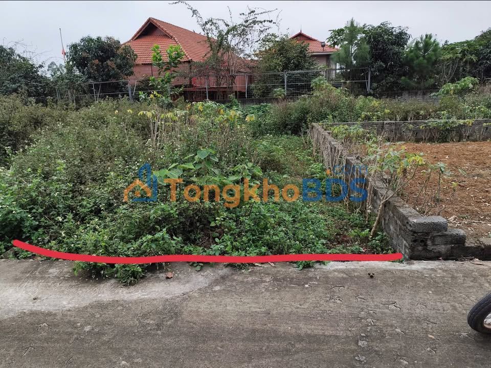 Đất Hy Cương Việt Trì 89m² 800 triệu - Hạ tầng hoàn thiện