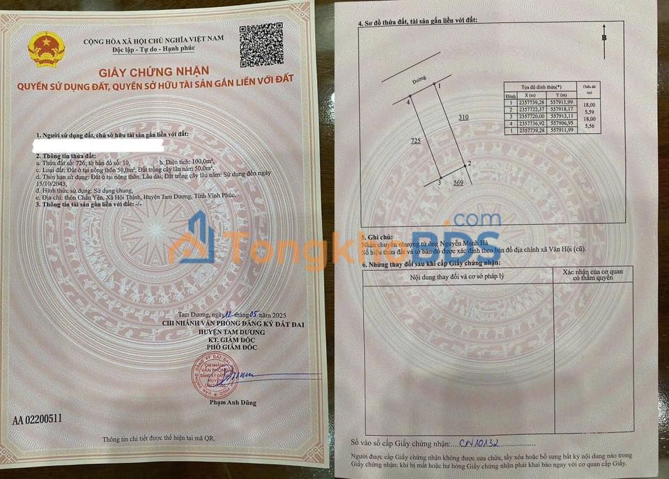 Mặt Tiền Kinh Doanh 100m² Đường Chấn Yên, Tam Dương - Giá Tỷ Xx