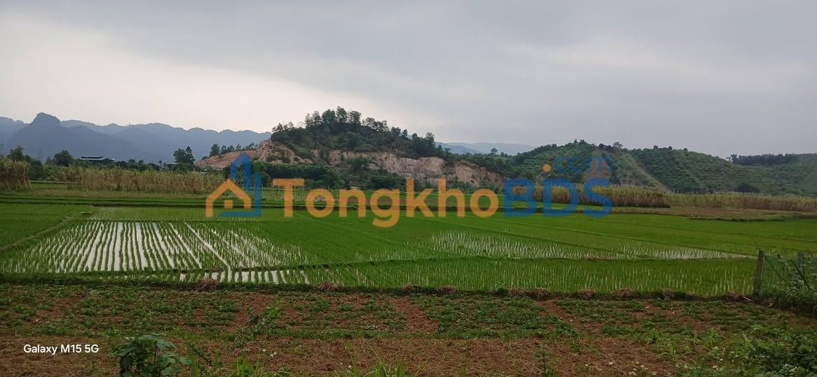 Đất nền Thị trấn Tân Lạc 366m² giá 500 triệu - Đường to ô tô