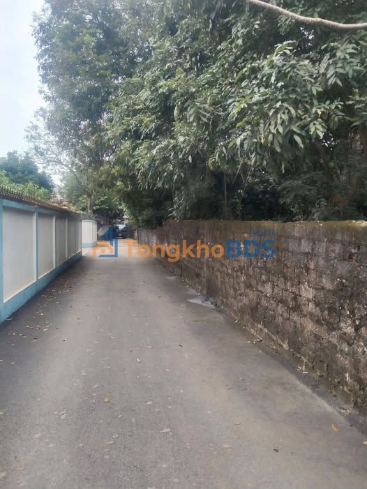 Đất nền TT Lương Sơn 117m² 1.15 tỷ - Sổ đỏ chính chủ