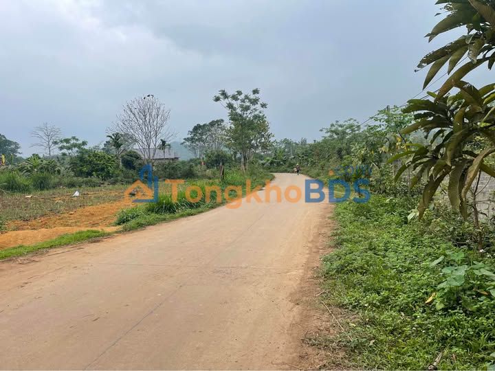 Đất Nền 623m² Sổ Đỏ, Sẵn Sàng Đầu Tư Tại Tân Lạc, Hoà Bình