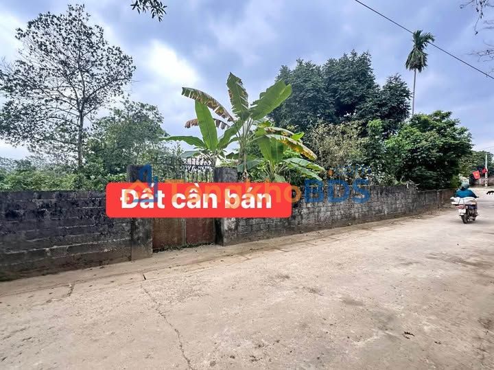 Đất Xuân Mai 489m² - Sổ Đỏ Rõ Ràng, Đường Ô Tô Tránh