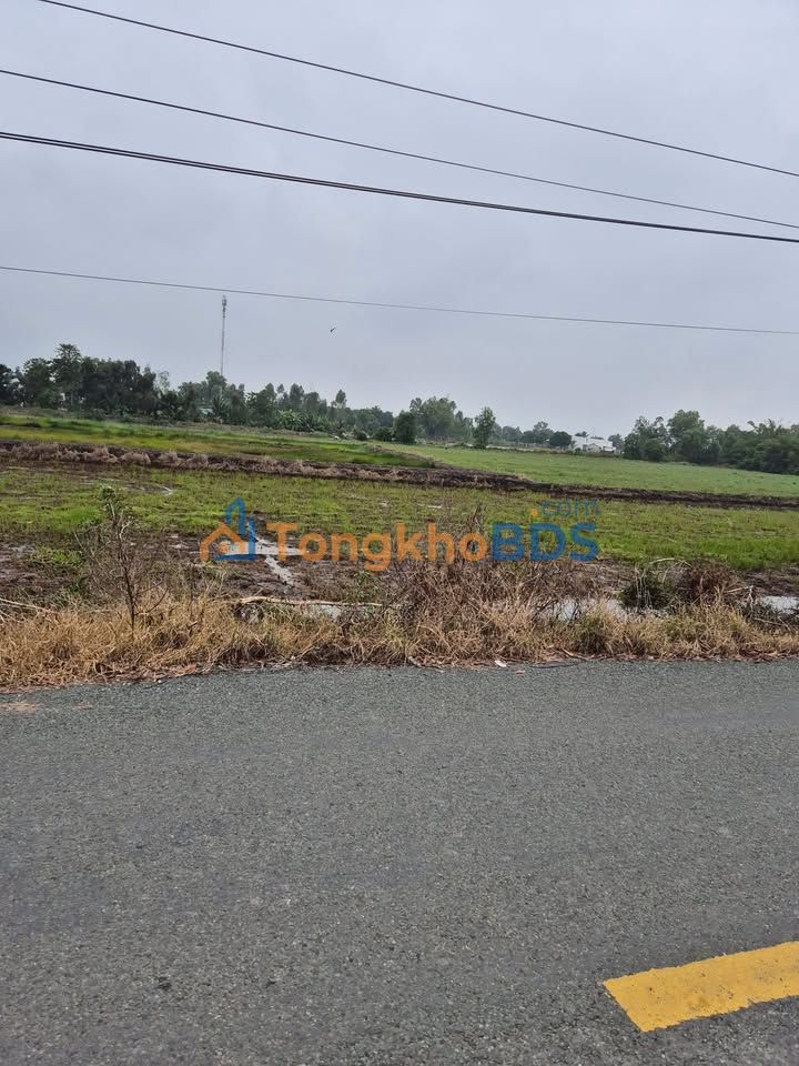 Đất nền TL 830 Đức Hòa 150m² 1.45 tỷ - Thổ cư 100%