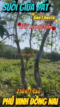 Đất Vườn 10.000m² Sổ Hồng Riêng, Suối Mát - Phú Vinh, Đồng Nai