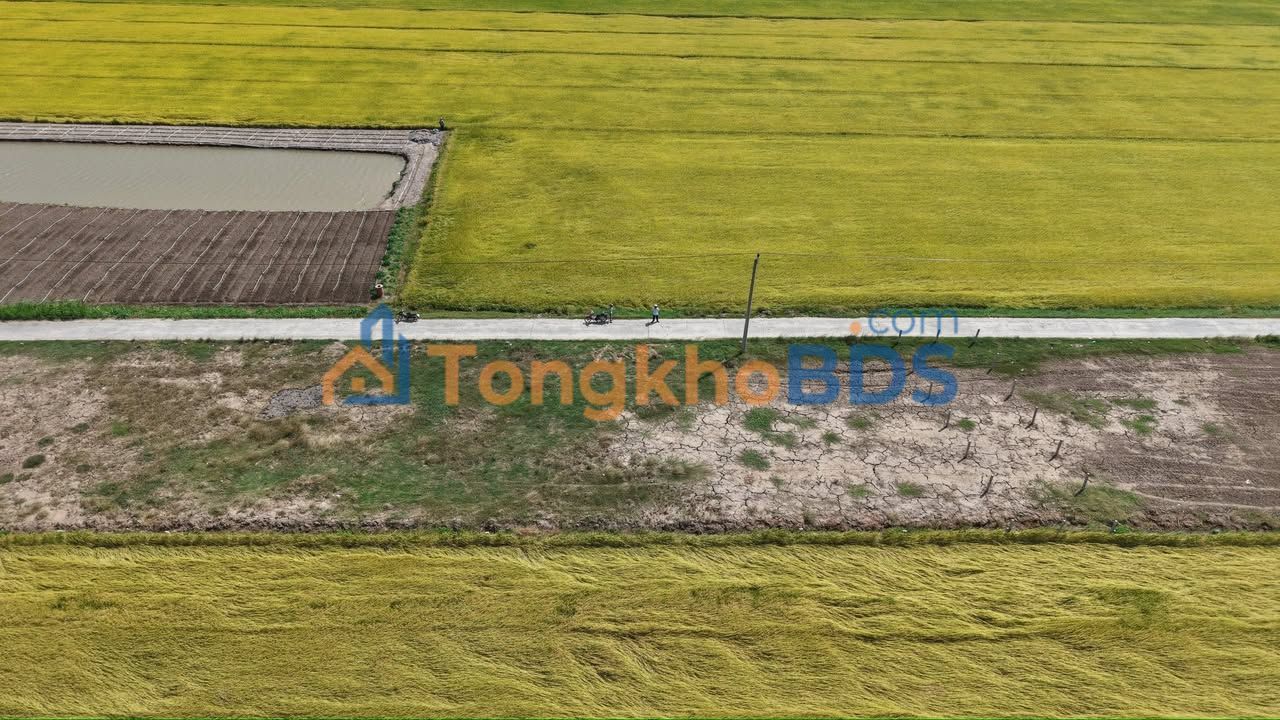 Đất nền 120m² Gò Công Đông - Sổ hồng riêng, gần biển Tân Thành