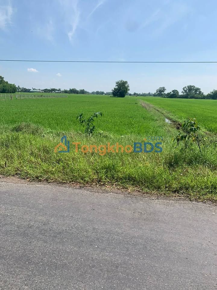 Đất An Thuận Đức Hòa 1.089m² 2.15 tỷ - Sổ đỏ chính chủ