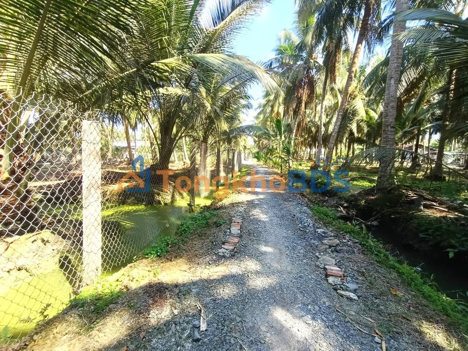 Đất vườn An Thạnh Thủy Chợ Gạo 1.500m² 850tr - Sinh thái xanh