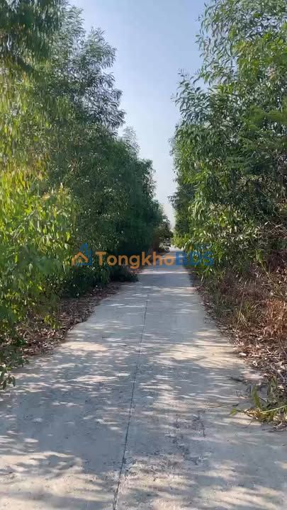 Đất nền Hòa Khánh Tây Đức Hòa 150m² 410 triệu - Sổ đỏ chính chủ