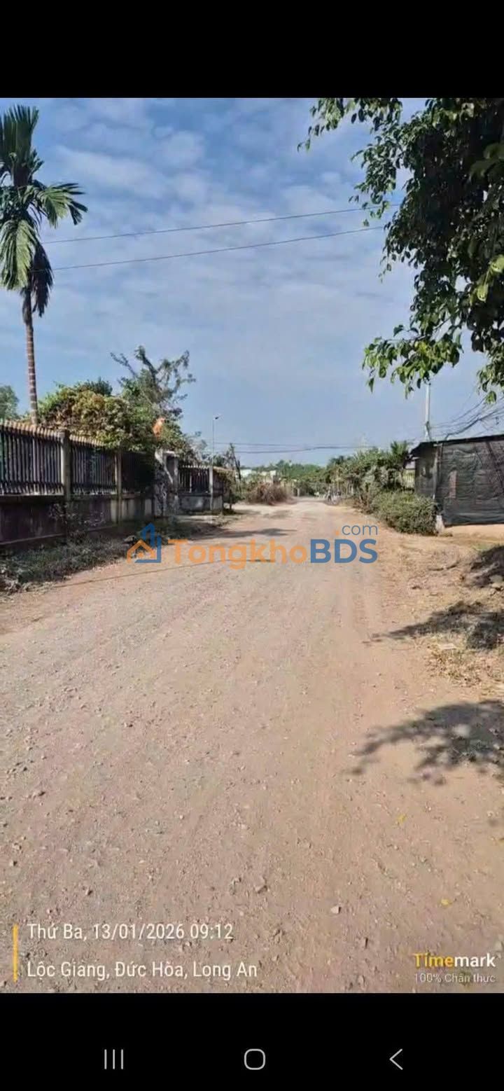 Đất nền Mỹ Thạnh Bắc, Đức Huệ 3.155m² 2 tỷ - Sổ đỏ chính chủ